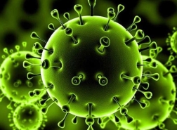 إحصاء رويترز: إصابات كوورنا في العالم تتخطى الـ29.39 مليون ووفياته تقترب من 930 ألفا