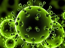 كورونا حول العالم.. أرقام الإصابات تعود للتزايد في دول عدة