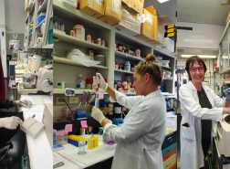 بروفيسور روت غابيزون - ابتكار من شأنه أن يؤخّر أمراض الدماغ الضّمورية