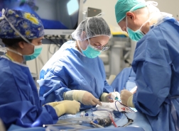 جراحو رمبام يستأصلون سلسلة مغناطيسات كادت تنهي حياة طفل في عامه الأول