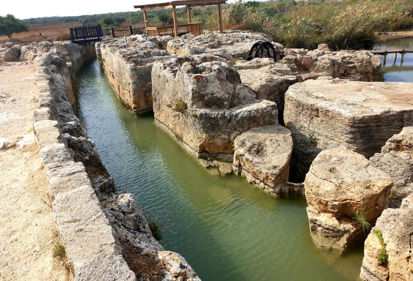وادي الزرقاء ، קרוקודילופוליס مدينة التماسيح