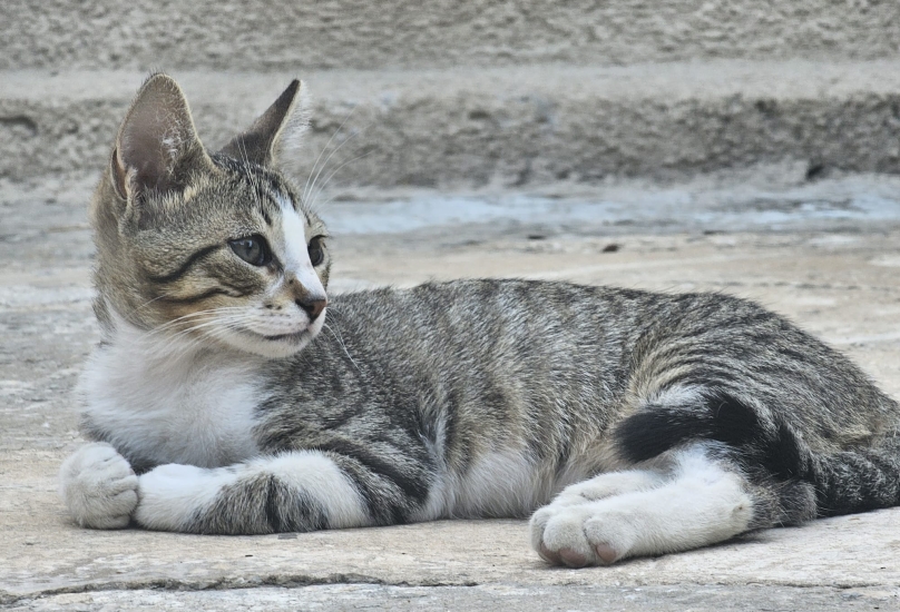 تصوير: مندوب حيفا24نت