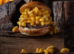 رحلة طعم ما بتتفوت: البرغر غير شكل بكفر مندا