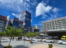 مستشفى رامبام يحذر: إليك ما يجب فعله في حال التعرض للسع العقارب