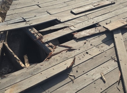 تحديث شامل لمسار المشي شكمونا في حيفا لجعله مُتاحاً للجميع